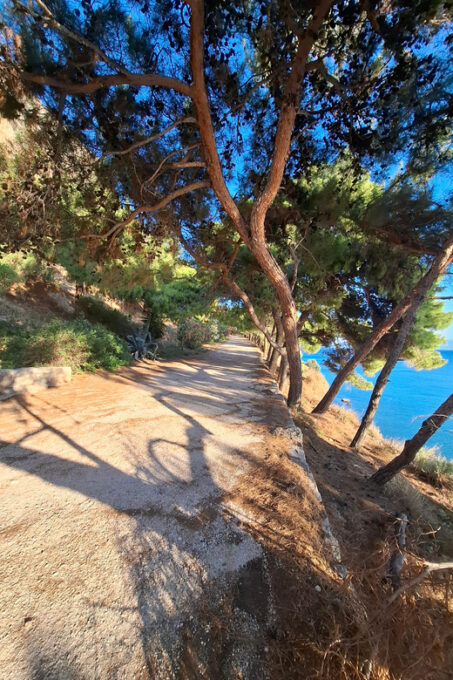 Laugh With Nafplio in Nature - Scenic Walk to Neraki Beach
