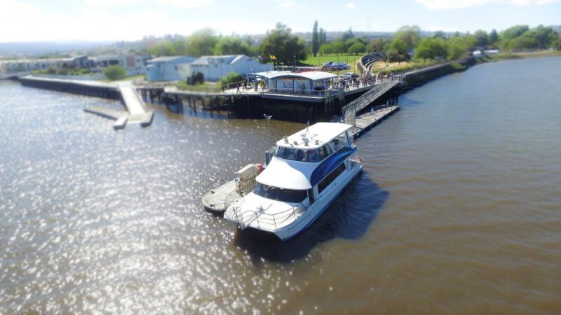 Launceston: 2.5-Hour Morning or Afternoon Discovery Cruise - Cruise Experience