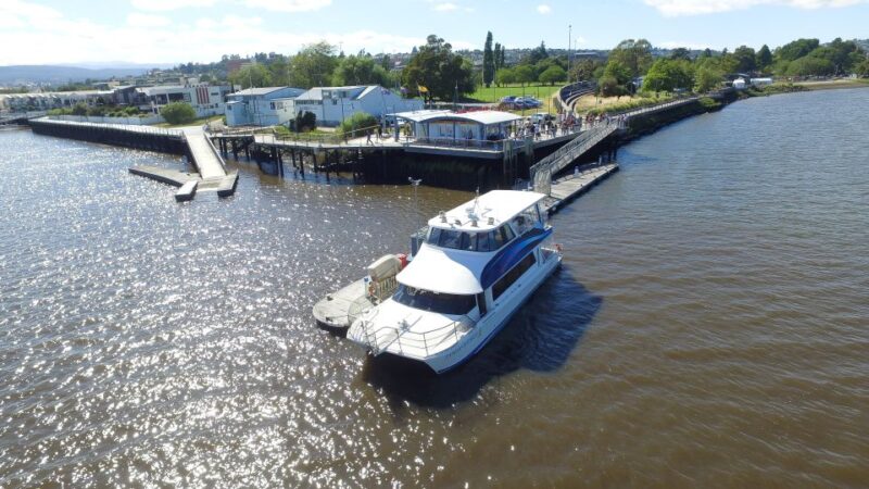 Launceston: 4-Hour Batman Bridge Luncheon Cruise - Key Points
