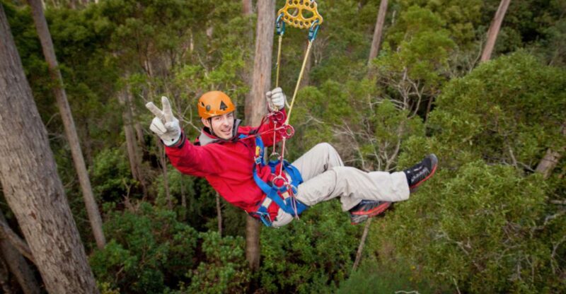 Launceston: Hollybank Forest Treetop Zip Lining With Guide - Booking Information