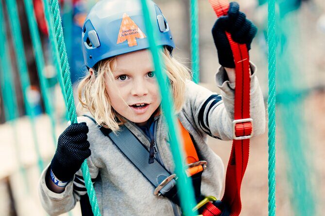 Launceston Hollybank Junior Tree Ropes Course - What to Expect at Hollybank Junior Tree Ropes Course