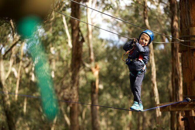 Launceston Hollybank Junior Tree Ropes Course - Authentic Perspectives from Reviews