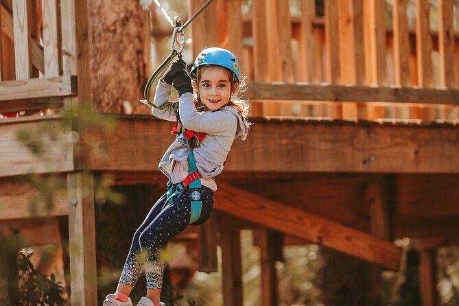 Launceston Hollybank Junior Tree Ropes Course - Practical Details that Matter