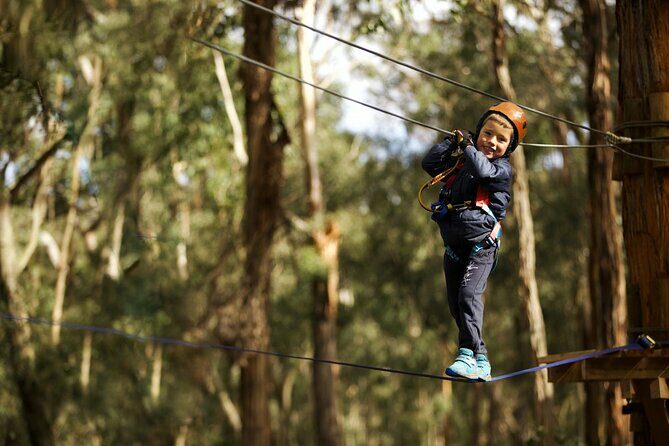 Launceston Hollybank Junior Tree Ropes Course - The Sum Up