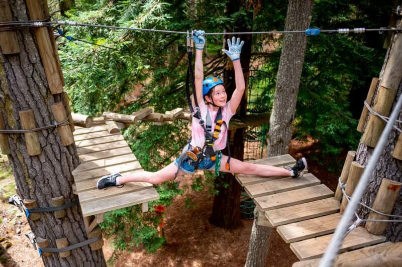 Launceston: Hollybank Tree Ropes Course - An In-Depth Look at the Hollybank Tree Ropes Course