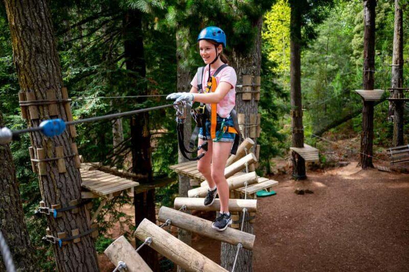 Launceston: Hollybank Tree Ropes Course - Final Thoughts: Is It Worth It?