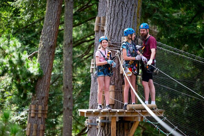 Launceston Hollybank Tree Ropes Experience - An Authentic Adventure in Tasmania’s Forests