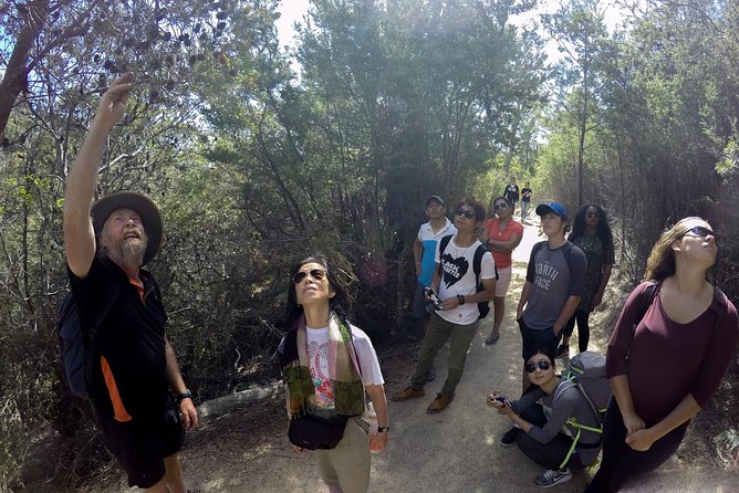 Launceston to Hobart via Wineglass Bay - Active One-Way Day Tour - Historic Ross Village