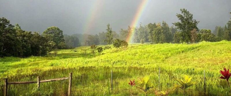 Laupahoehoe: Farm Animal Sanctuary Private Tour - Key Points