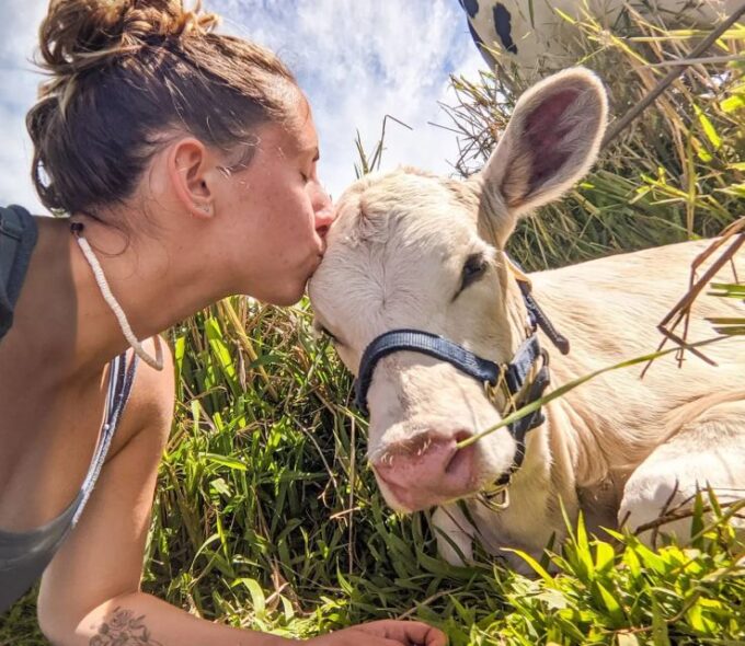 Laupahoehoe: Farm Animal Sanctuary Private Tour - Frequently Asked Questions