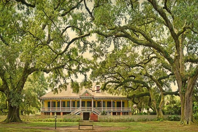 Laura Plantation & Airboat Tours - Wildlife Encounters