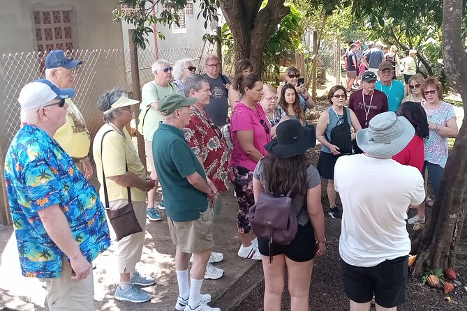 Lauras Herb & Spice Garden Tour. - Capturing the Scenic Beauty