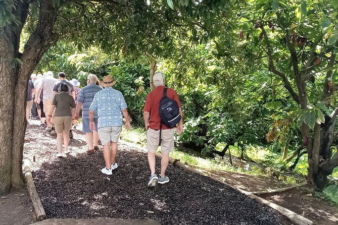 Lauras Herb & Spice Garden Tour. - Personalizing the Photography Experience