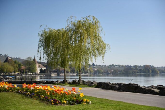 Lausanne, Montreux and Chillon: Private Trip From Geneva - Inclusions for a Memorable Tour