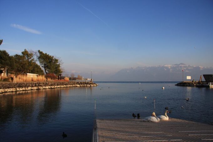 Lausanne, Montreux and Chillon: Private Trip From Geneva - Cancelation Policy and Customer Feedback