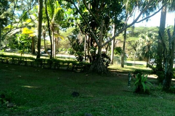 Lautoka Sightseeing & Shopping - Inclusions and Conveniences