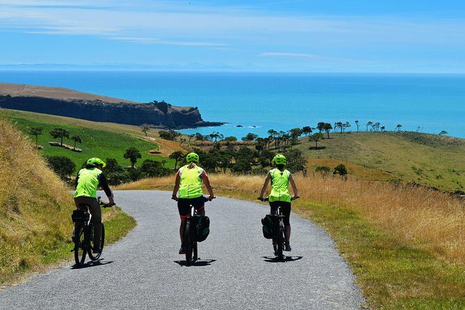 Lava Loop- Guided electric mountain bike tour in Akaroa - The Perfect Fit for Who?