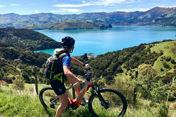 Lava Loop- Guided electric mountain bike tour in Akaroa - The Sum Up