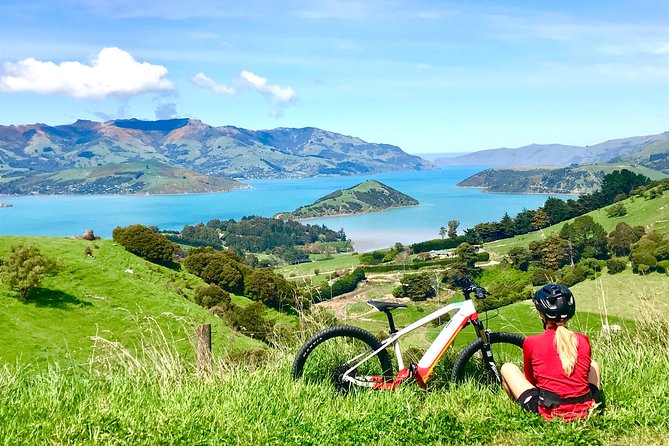 Lava Loop- Guided Electric Mountain Bike Tour in Akaroa - Traveler Reviews