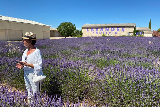 Lavender Discovery Private Tour in Provence - Tour Features