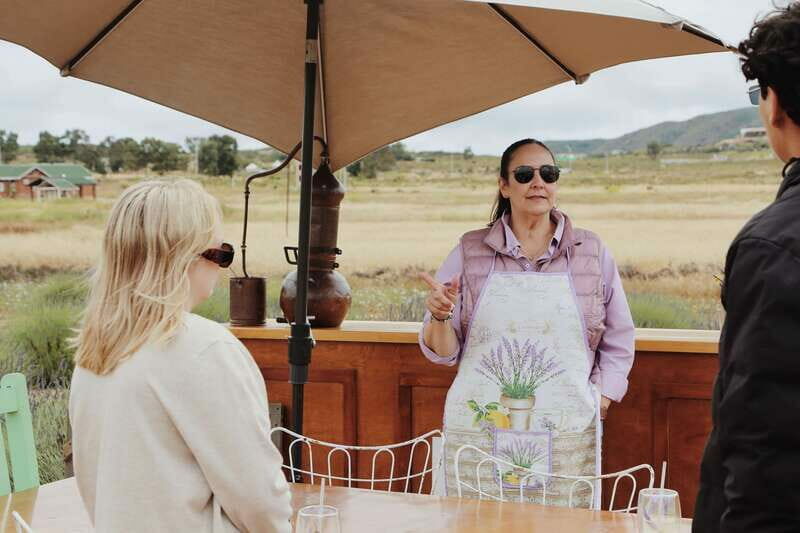 Lavender Experience Valle de Guadalupe - Guided Field Tour - The Itinerary Breakdown
