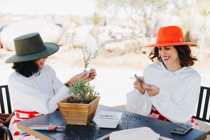 Lavender Experience Valle de Guadalupe - Guided Field Tour - Practical Tips for Visitors