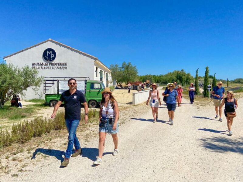 Lavender Field & Distillery Tour Between Nimes & Arles - Experience Description