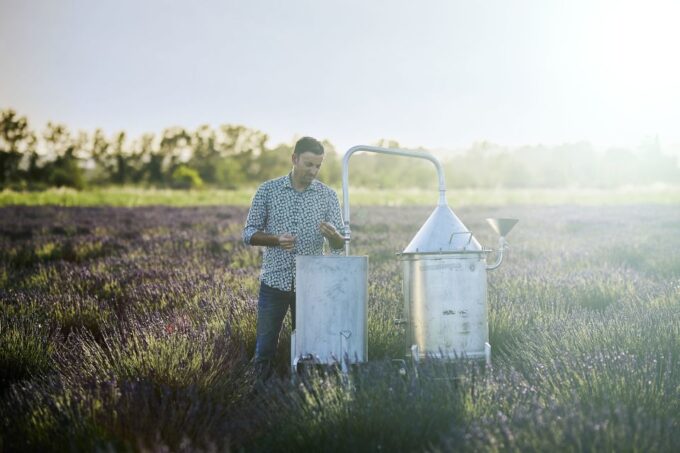 Lavender Field & Distillery Tour Between Nimes & Arles - Bus Transportation & Parking