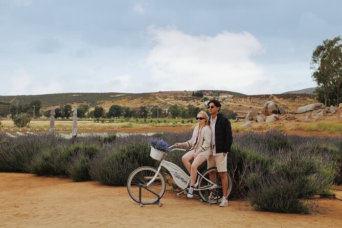 Lavender Field Guided Tour - Experience Highlights