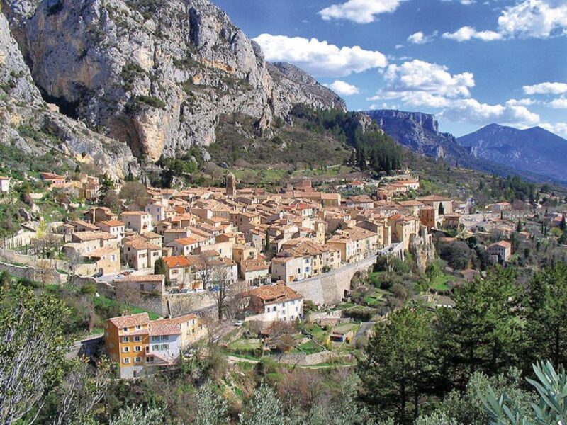 Lavender Fields Tour - Key Points