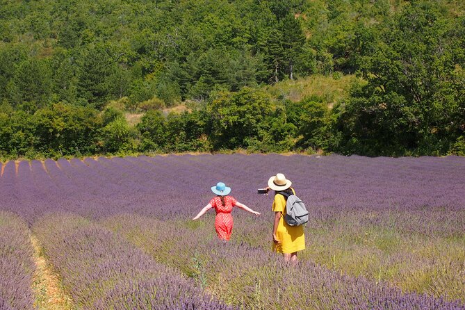 Lavender Full-day Tour in Sault From AIX-EN-PROVENCE - Quick Points
