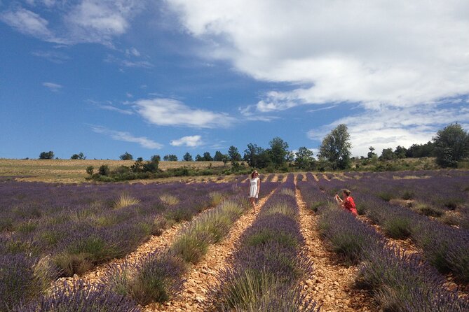 Lavender Full-day Tour in Sault From AIX-EN-PROVENCE - Tour Participant Requirements