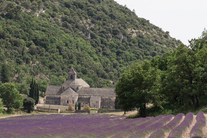 Lavender in Luberon Small Group Half-Day Trip - Confirmation and Booking