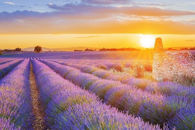Lavender Route - Small-Group Day Trip From Avignon - Exploring Gordes and Roussillon
