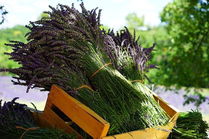 Lavender Tour From Pamukkale With Drop off Denizli Airport - About Your Stay