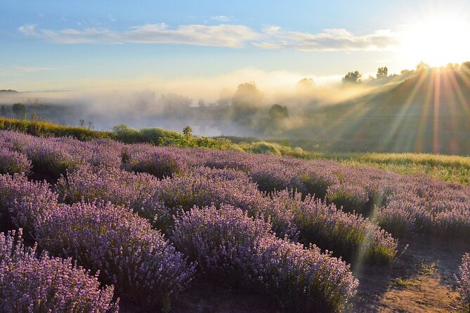 Lavender Tour From Pamukkale With Drop off Denizli Airport - Arriving at Denizli Airport