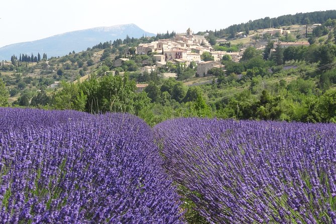 Lavender Tour Sault From Marseille - Pricing and Cancellation