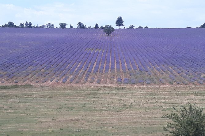 Lavender Tour Sault From Marseille - Accessibility and Restrictions