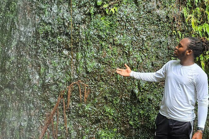Lawyer Stephens Cave & Waterfalls Hike - Transportation, Pricing, and Overall Value