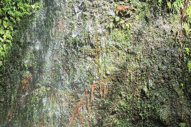 Lawyer Stephens Cave & Waterfalls Hike - Why This Tour Works for Most Travelers
