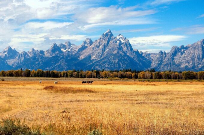 LAX 6-day Tour Unique Yellowstone National Park Experience - Restrictions