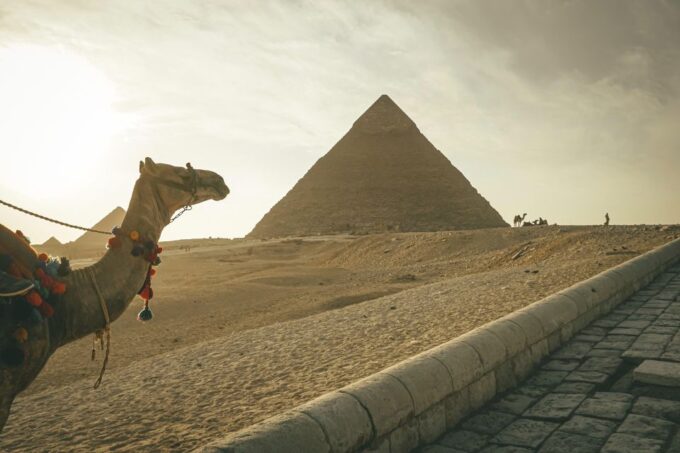 Layover Tour to Pyramids, the Museum, Bazaar and Light Show - Dining and Cuisine
