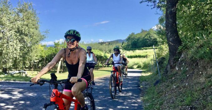 Lazise: Bike Tour and Wine Tasting - Explore Vineyards and Groves