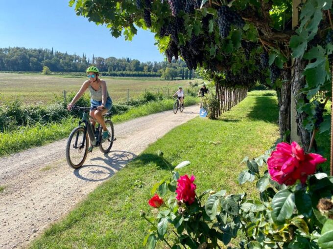 Lazise: Countryside E-Bike Tour With Wine Tasting - Scenic E-Bike Routes