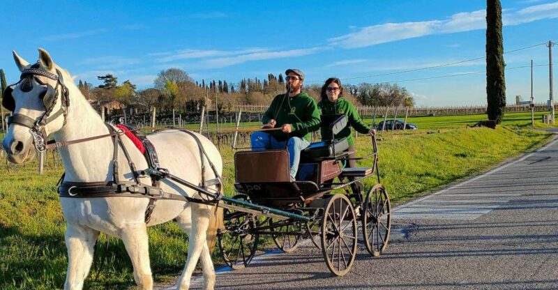 Lazise: Horse Carriage Tour With Tasting of Local Products - Key Points