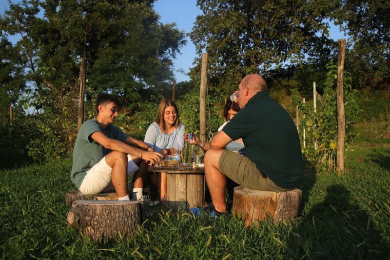 Lazise: Horse Carriage Tour With Tasting of Local Products - Tour Highlights