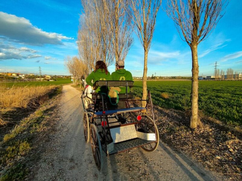 Lazise: Horse Carriage Tour With Tasting of Local Products - Tasting Experience