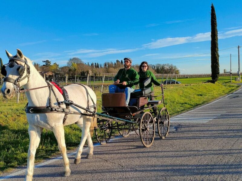 Lazise: Horse Carriage Tour With Tasting of Local Products - Accessibility Considerations
