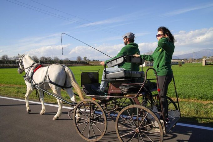Lazise: Horse Carriage Tour With Tasting of Local Products - Frequently Asked Questions