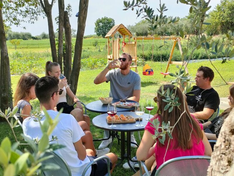 Lazise: Wine Tasting With Charcuterie and Cheese Board - Key Points